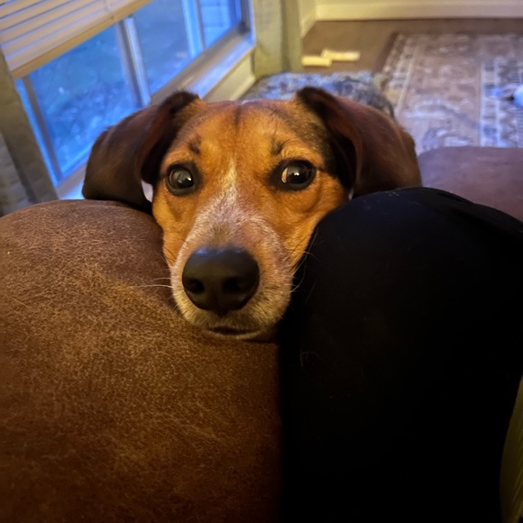 Meet your Posher, Jacqui - Picture 1 of 1